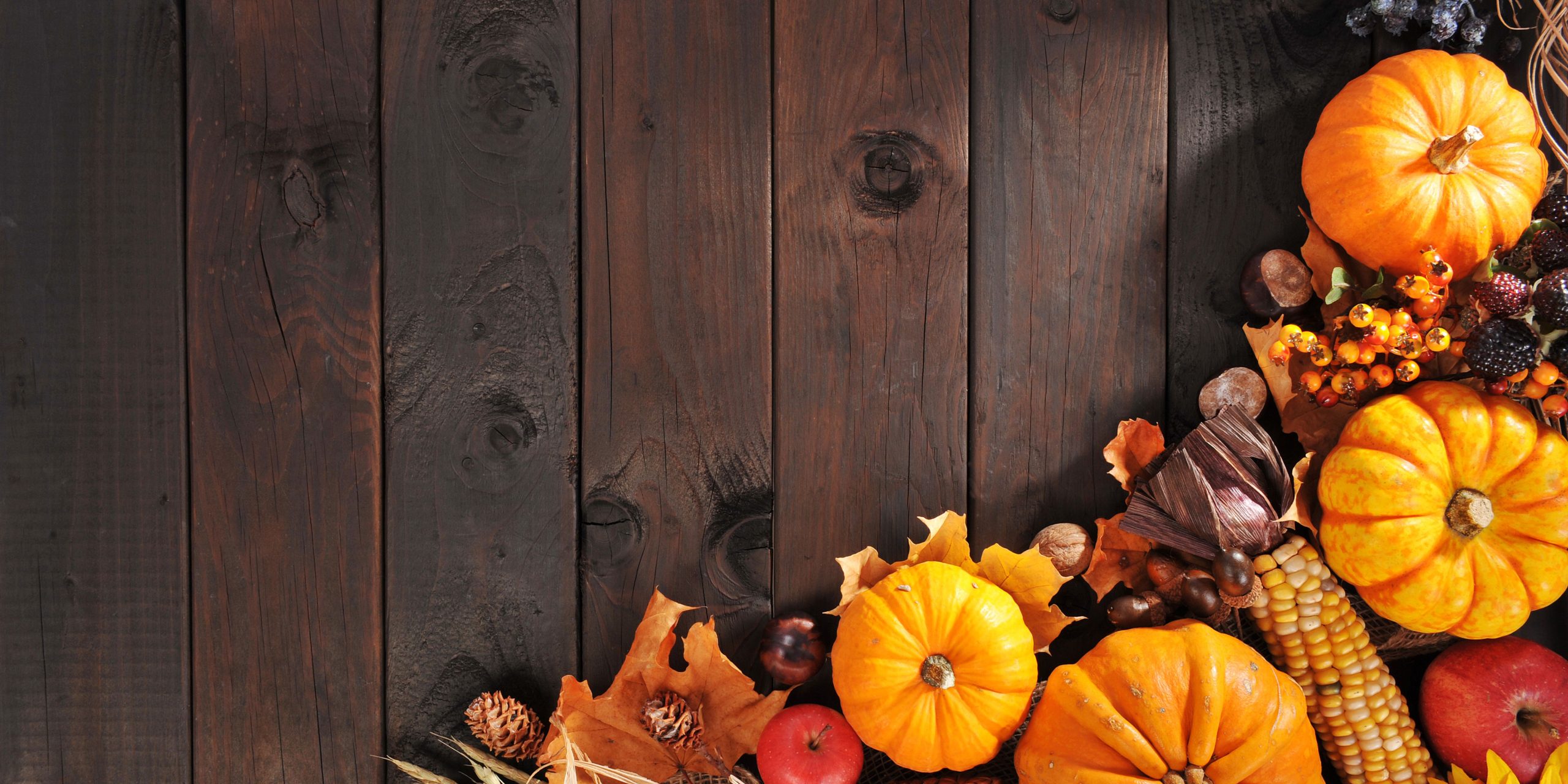 Backdrop of barn wood with pumpkins, leaves, and corn cobs
